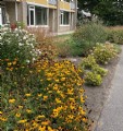 Red een plant van Almenum