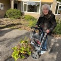 Geslaagde actie Red een plant