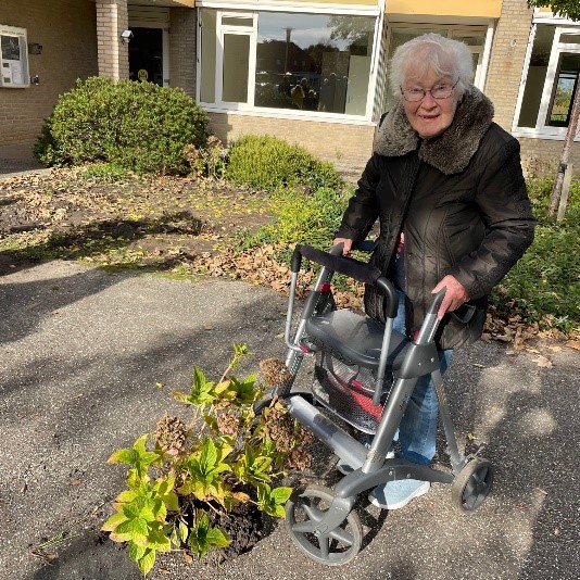 Geslaagde actie Red een plant