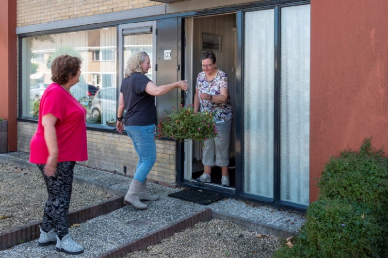 Een zomerse hangplant voor trouwe huurders